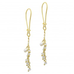 Brass Gold Plated Pearl And Rainbow Gemstone Dangle Earrings- A1E-313