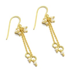 Brass Gold Plated Pearl Gemstone Dangle Earrings- A1E-5563