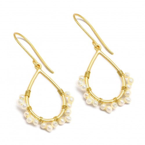 Brass Gold Plated Pearl Gemstone Dangle Earrings- A1E-5620