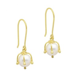925 Sterling Silver Gold Plated Pearl Gemstone Dangle Earrings- A1E-5659