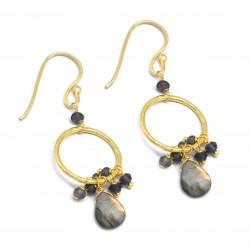 Brass Gold Plated Iolite, Labradorite Gemstone Dangle Earrings- A1E-5852