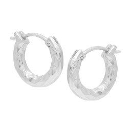 Brass Silver Plated Hammered Metal Hoop Earrings- A1E-8764